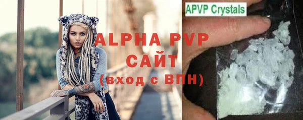 сатива Куйбышев