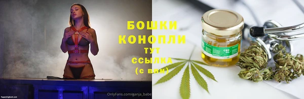 ECSTASY Краснослободск