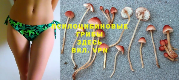 сатива Куйбышев