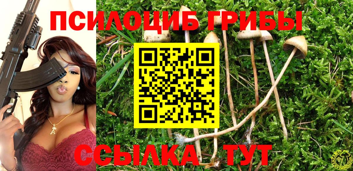 Псилоцибиновые грибы Psilocybe Обнинск