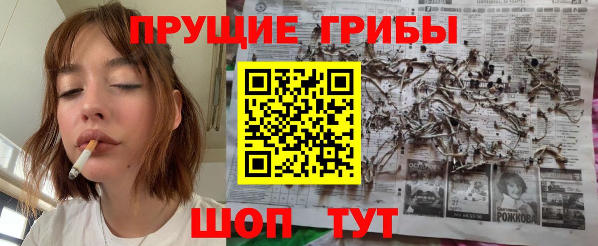 Галлюциногенные грибы GOLDEN TEACHER  Вход с VPN  Обнинск  Псилоцибиновые грибы Psilocybine cubensis 